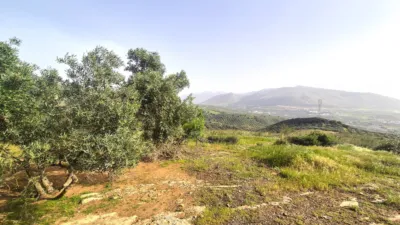 Rustic Finca in Loja photo 11