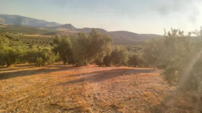 Rustic Farm in Loja photo 8