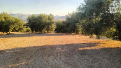 Rustic Farm in Loja photo 5