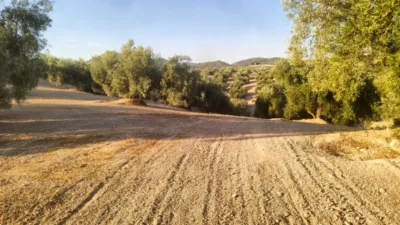 Rustic Farm in Loja photo 10