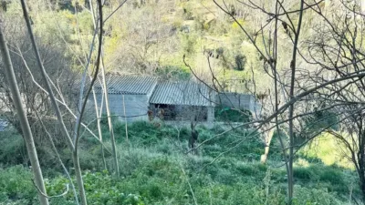 House on Calle Partida de los Pagos photo 17