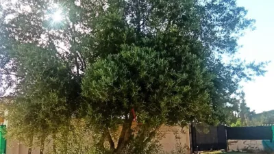 Detached house in Gea y Trullols photo 25