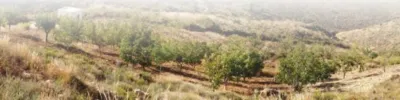 Rustic house on Carretera Chanata, No. Q photo 7