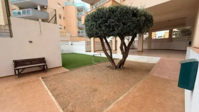 Apartment on Avenida Sabinar, No. 6 photo 15