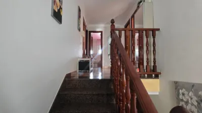 House on Calle de la Diagonal, 22 photo 17