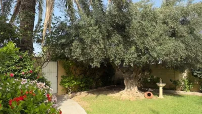 Chalet on Calle de Goleta, La Punta Prima photo 11