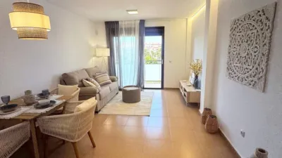 Pis – Torrevieja, el Baix Segura / La Vega Baja - Vista 3