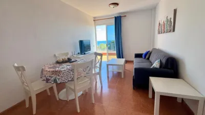 Apartment on Doctor Celestino González Padrón Street, 12 photo 5
