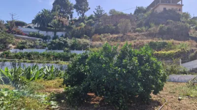 Rustic Finca on Camino Hoya Nadia photo 27