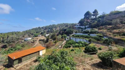 Rustic Finca on Camino Hoya Nadia photo 12