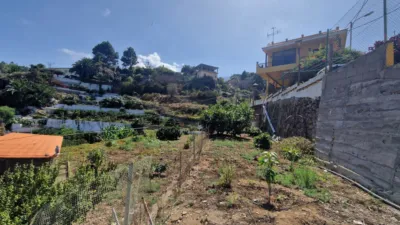 Rustic Finca on Camino Hoya Nadia photo 25