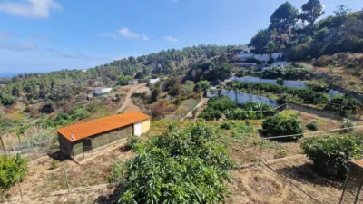 Rustic Finca on Camino Hoya Nadia photo 13