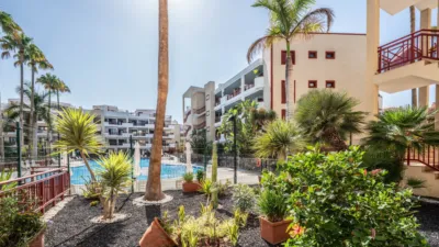 Apartment on Avenida Palm-mar photo 19