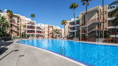 Apartment on Avenida Palm-mar photo 21