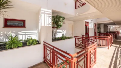 Apartment on Avenida Palm-mar photo 18