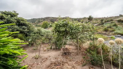 Rustic Finca in Caserío de los Charcos photo 13