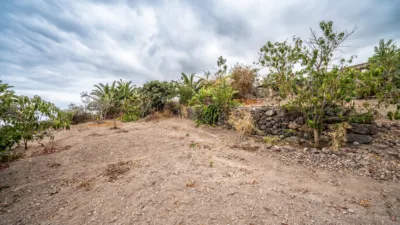 Rustic Finca in Caserío de los Charcos photo 9