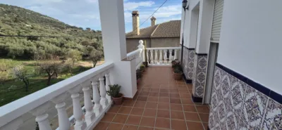 Chalet en Alfarnatejo photo 8