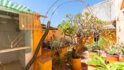 House on Calle de las Américas, Barrio Nuevo photo 25