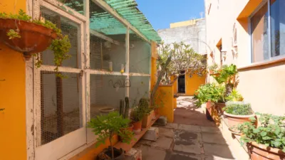 House on Calle de las Américas, Barrio Nuevo photo 10