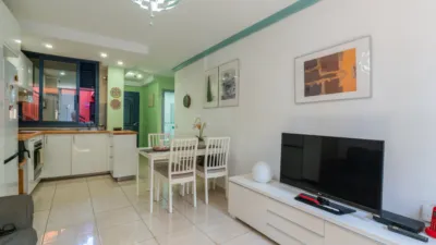Apartment on Calle Reyezuelo photo 4