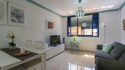 Apartment on Calle Reyezuelo photo 6