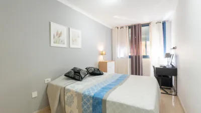 Apartment on Calle Reyezuelo photo 11