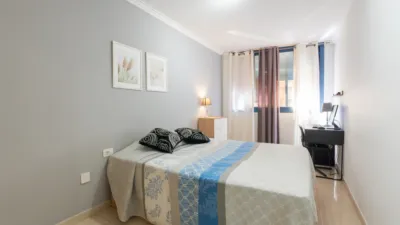 Apartment on Calle Reyezuelo photo 10