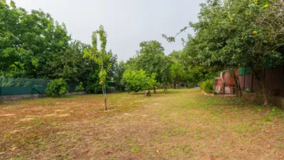 Rustic House on Camino Mamio photo 9
