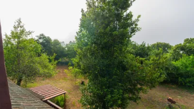 Rustic House on Camino Mamio photo 21