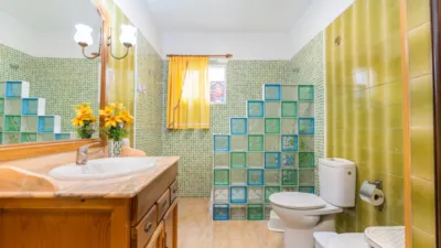 Townhouse in Álvaro Fariña photo 13