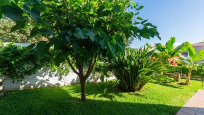 Detached house on Calle Trevina photo 67