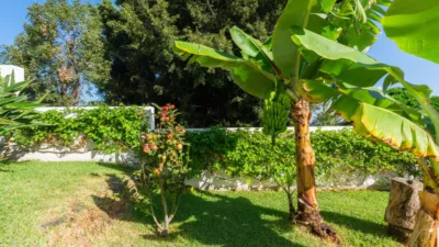 Detached house on Calle Trevina photo 66