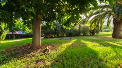 Flat on Calle de Sor Josefa de Sacramento photo 39