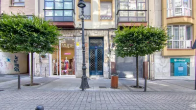 Apartment on Marcelino Sanz de Sautuola Street, 14 photo 91