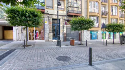 Apartment on Marcelino Sanz de Sautuola Street, 14 photo 90