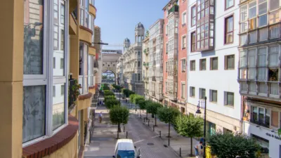 Apartment on Marcelino Sanz de Sautuola Street, 14 photo 89