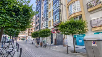 Apartment on Marcelino Sanz de Sautuola Street, 14 photo 96