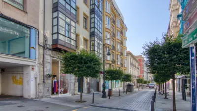 Apartment on Marcelino Sanz de Sautuola Street, 14 photo 94