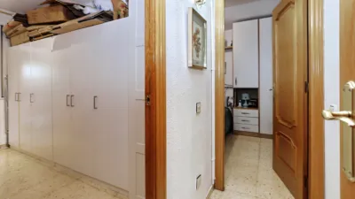 Apartment in El Carmel photo 15
