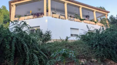 House on Avenida Mirabo photo 56