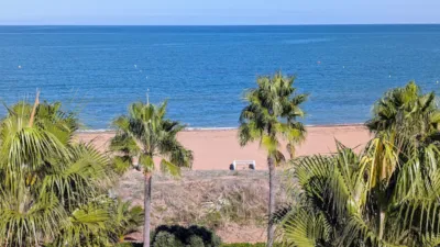 Pis – Dénia - Vista 5