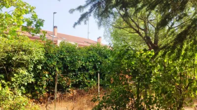 Single-family detached house on Calle del Álamo, 2 photo 4