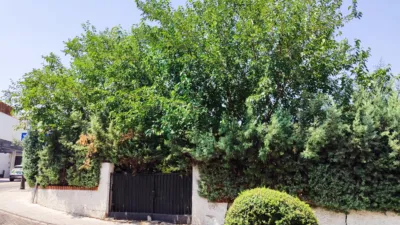 Single-family detached house on Calle del Álamo, 2 photo 44