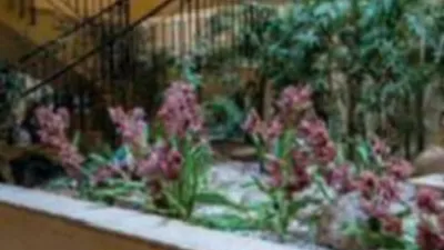 Piso en alquiler en Calle del Maestro Guerrero - Imagen 20