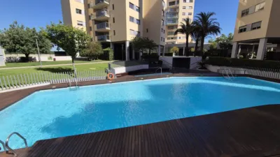 Apartment on Avenida del Maestro Rodrigo photo 29