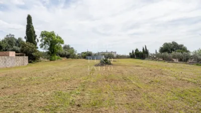 Chalet rústico en venta en Camí de Maspujols, 9, Riudoms de 385.000 €