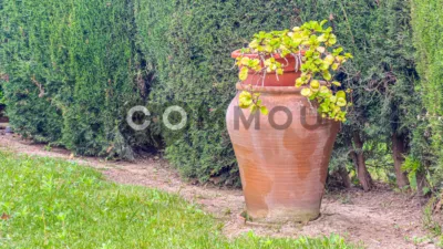 Casa en Palafrugell Poble photo 28
