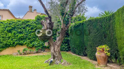 Casa en Palafrugell Poble photo 24