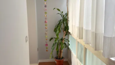 Apartment on Calle Topete photo 3